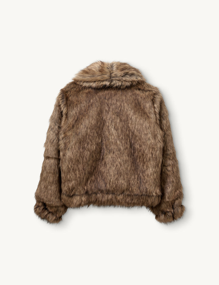 Damiy Coat Brown 6 / Brown